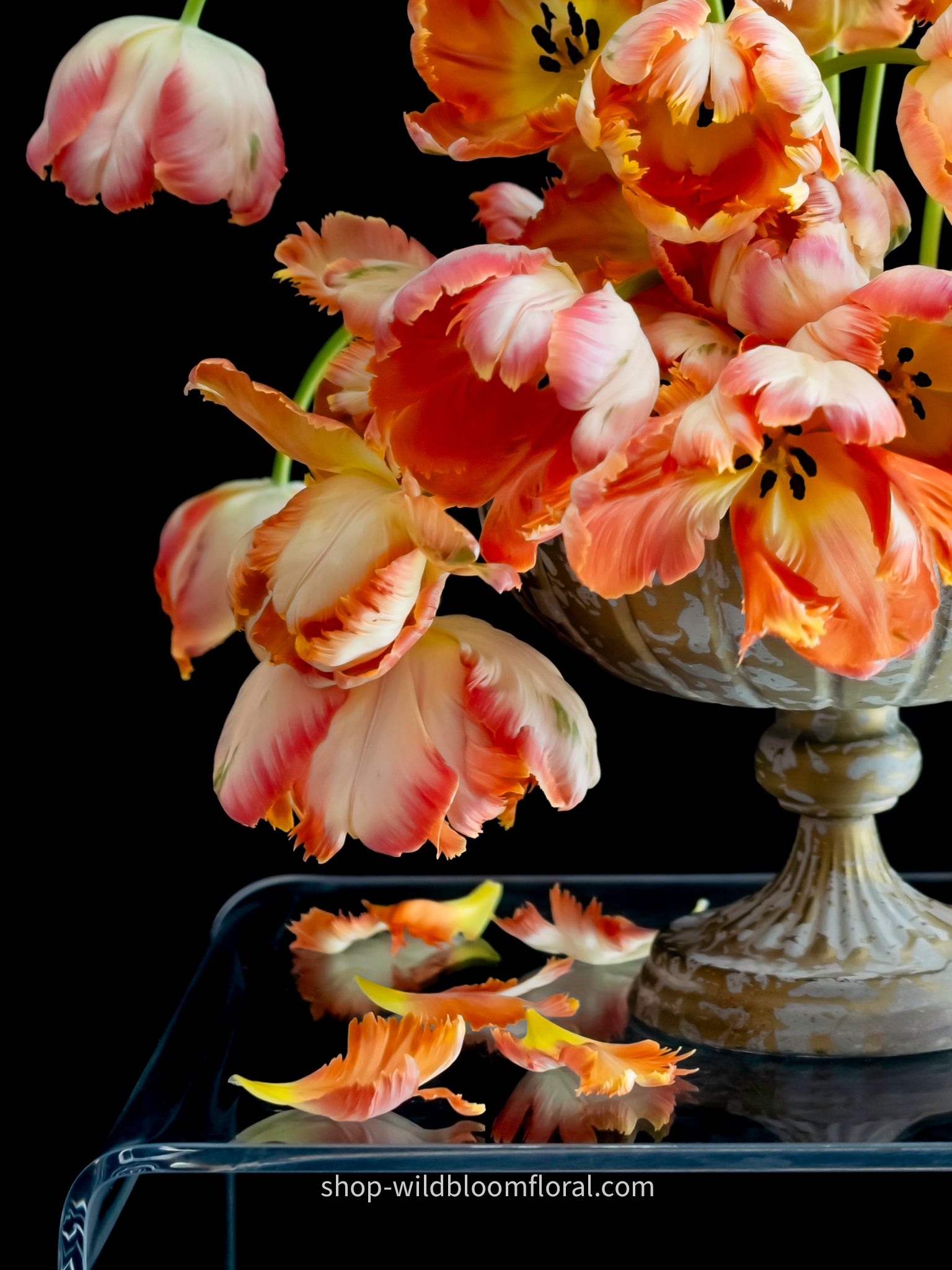 It's Darksided IV – Wild Bloom by Kristen Griffith-VanderYacht
