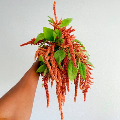 Autumnal Basket Arrangement Class